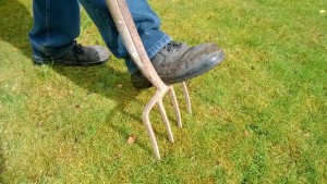 The hard way to aerate your lawn.